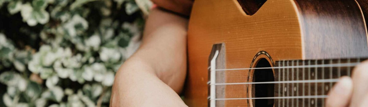Lerne mit uns Ukulele!
